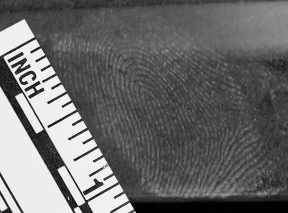 dna free fingerprint fiber brush step 4